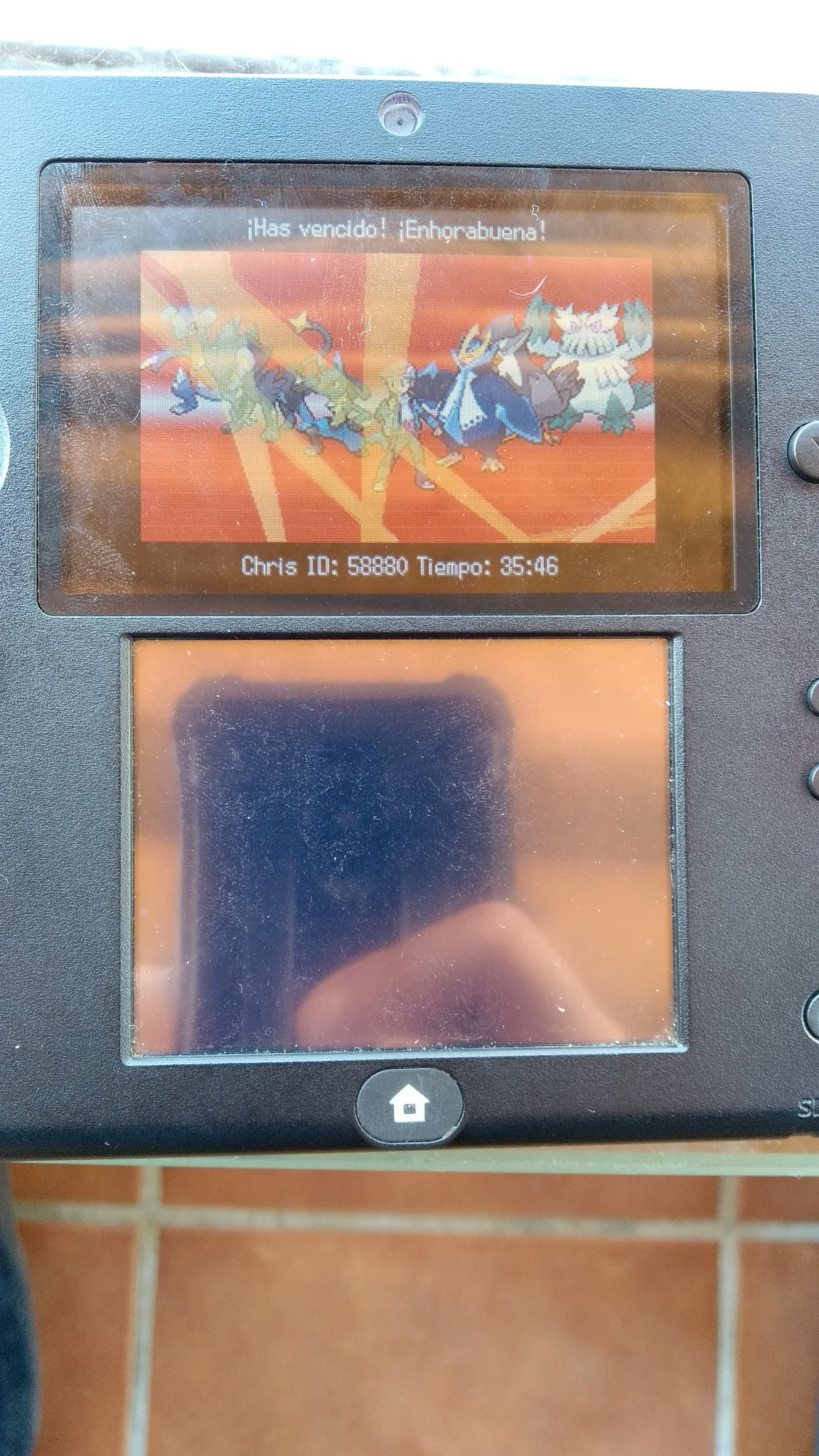 HallOfFamePokemonPlatinum.png|500