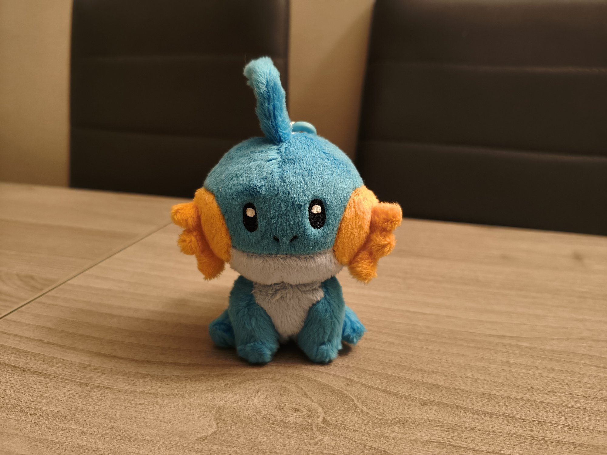 A Mudkip plush from the Pokémon Center in Japan that a friend who knows me very well got me